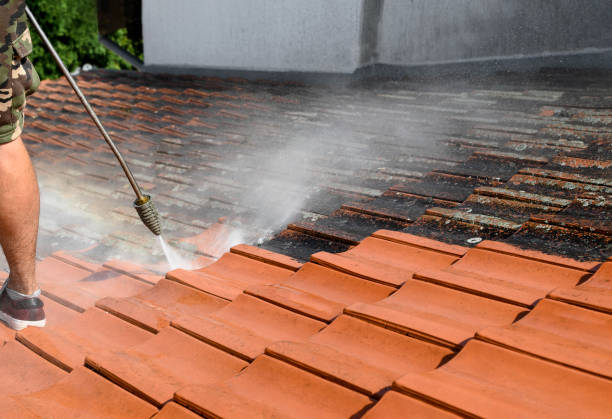 Best Concrete Pressure Washing  in Englewood, FL